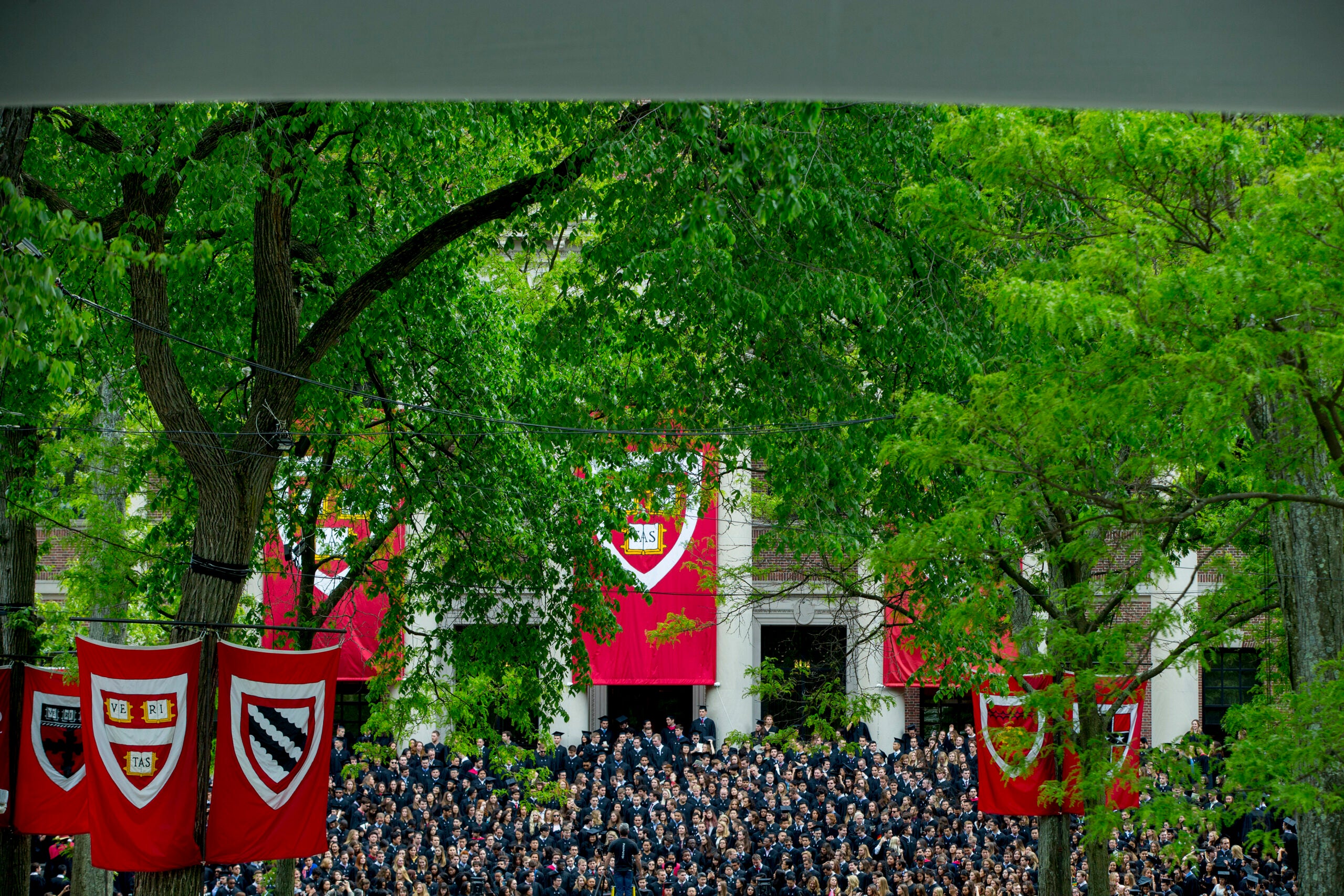 A commencement in Harvard Yard