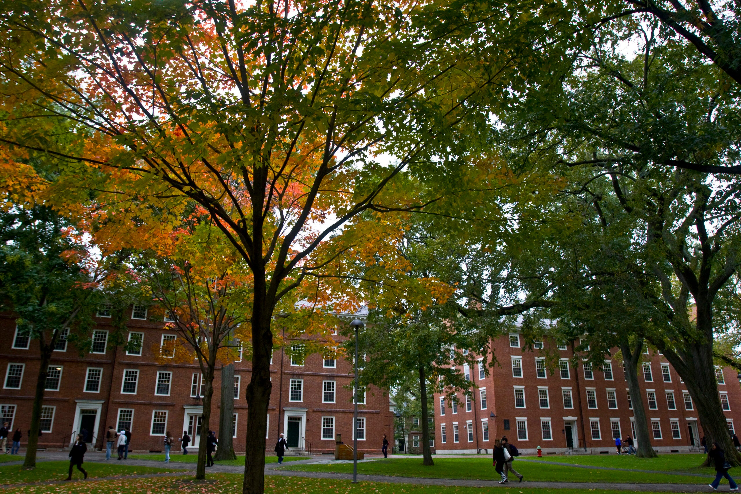 The dorms in Harvard Yard