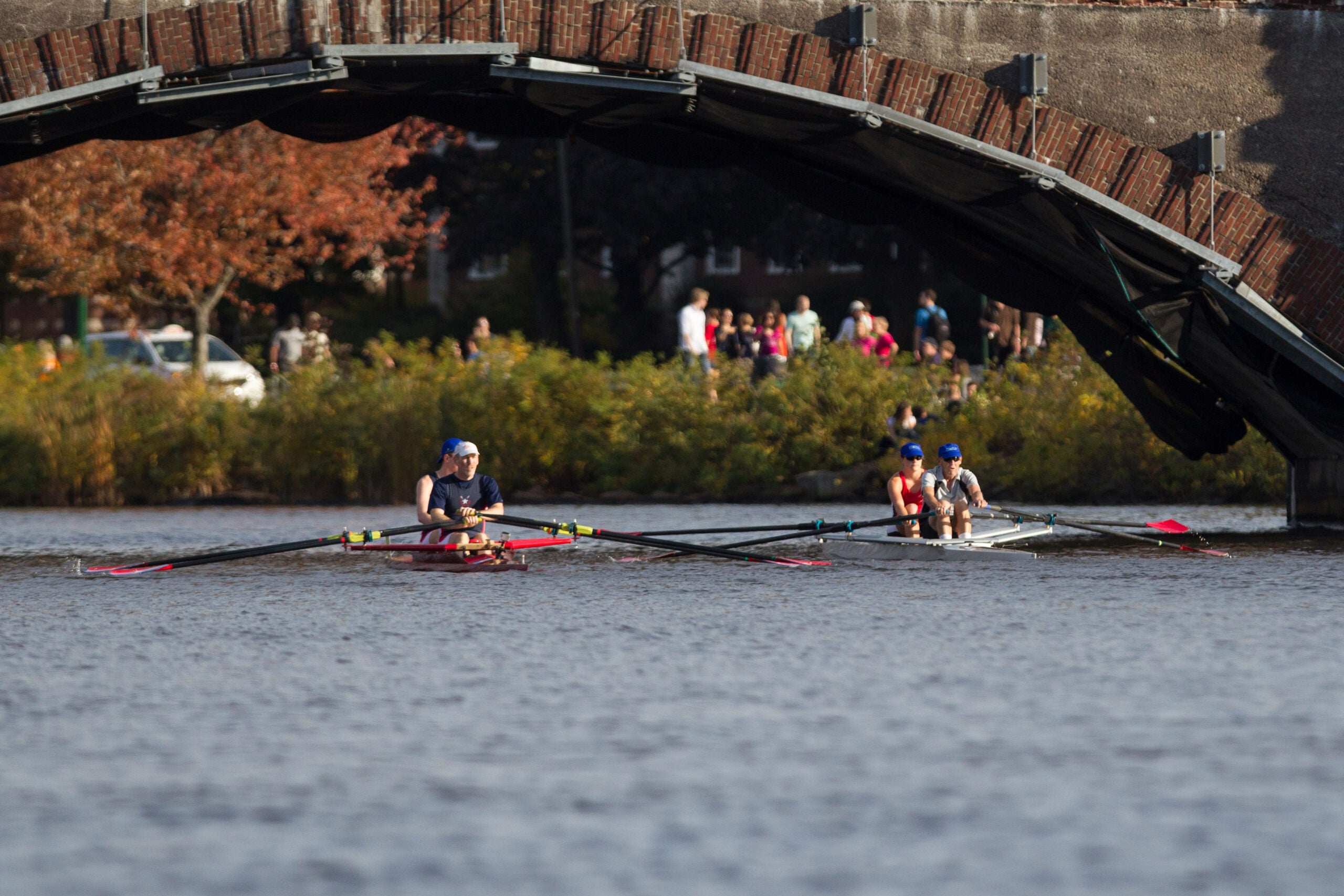 rowers on the charles river