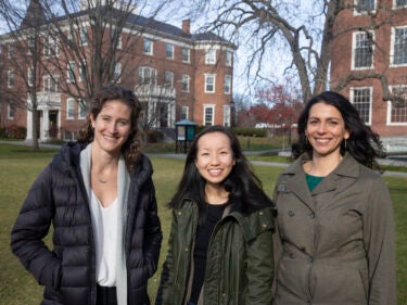 Three researchers in Harvard Yard
