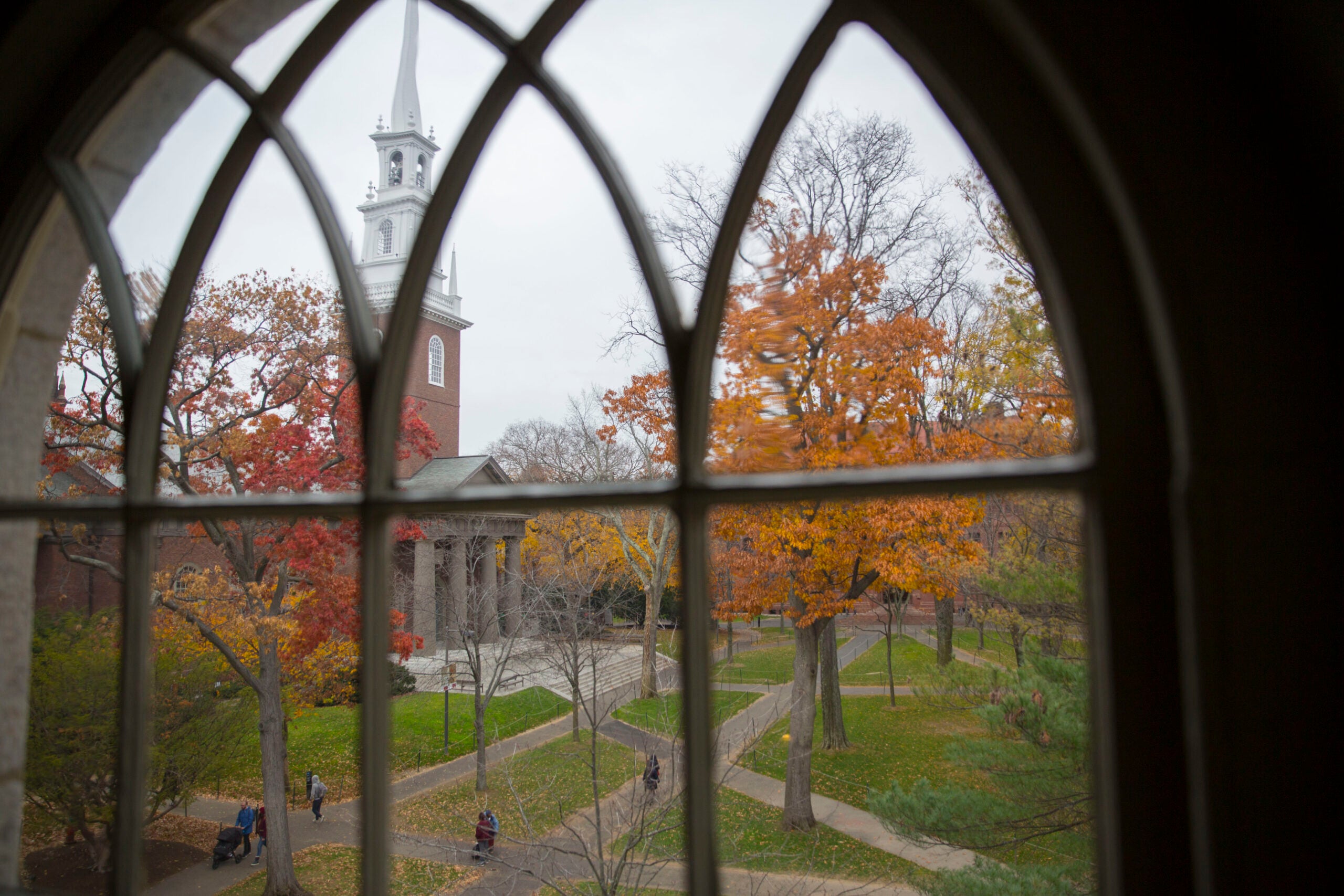 A view of Harvard Yard from a window